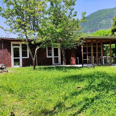 V Gostiakh U Maii Hotel Gagra Exterior photo