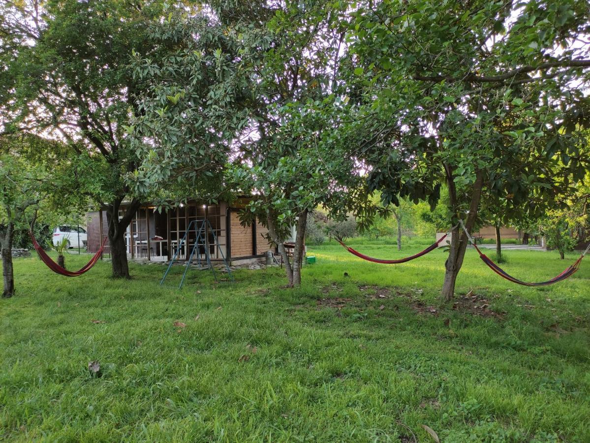 V Gostiakh U Maii Hotel Gagra Exterior photo
